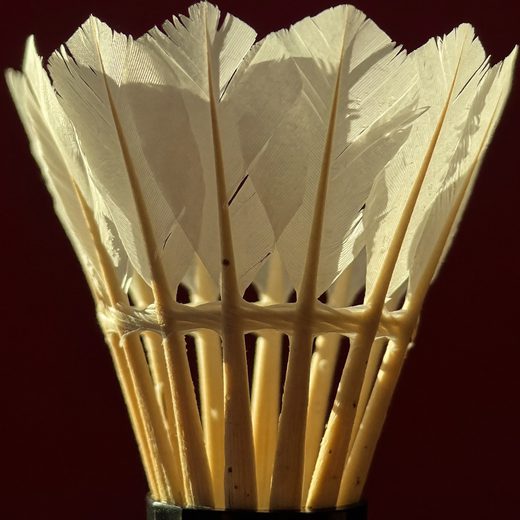 Badminton